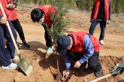 3.副校长王宏亮和同学们一起植树